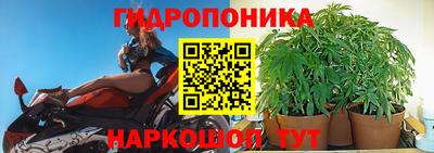 меф Лесосибирск