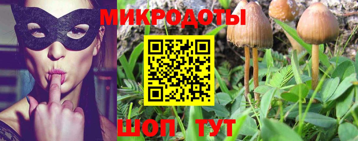 Псилоцибиновые грибы мухоморы Йошкар-Ола