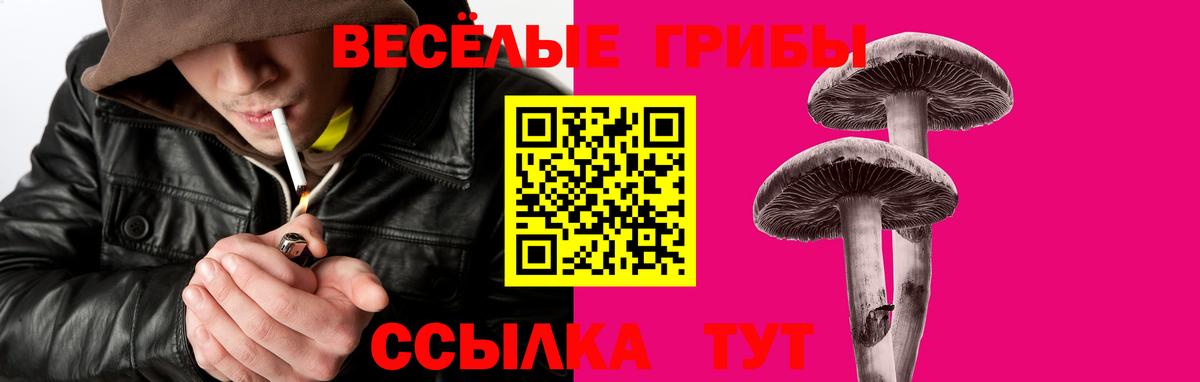 Галлюциногенные грибы MAGIC MUSHROOMS  Галлюциногенные грибы ЛСД  Вход с VPN  Йошкар-Ола 
